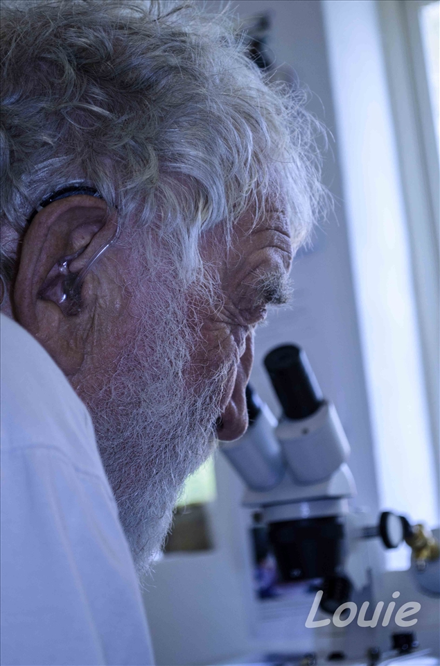 Dr David Belamy OBE at the Bee Reasurch Lab
