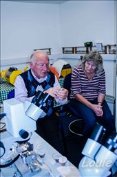 Discusion about bee parasite which is devistateing the worlds Honey Bees: by louieontheroad, Views[431]