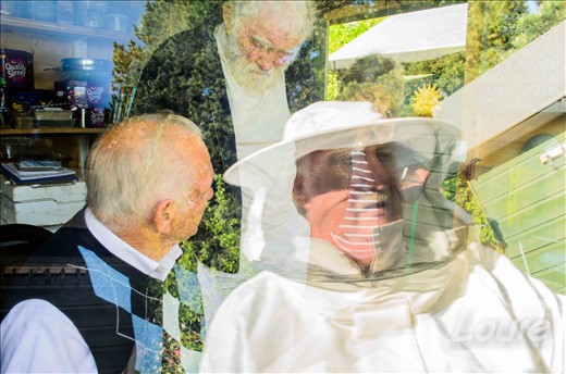 Bee keeper looks on 
