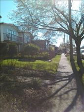 by louiss_renierr, Views[119]