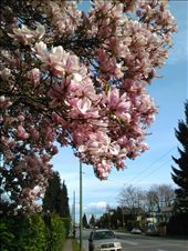 by louiss_renierr, Views[124]