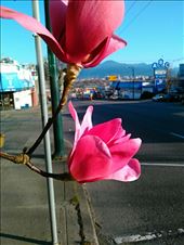 by louiss_renierr, Views[121]