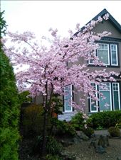 by louiss_renierr, Views[97]