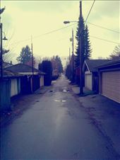 by louiss_renierr, Views[103]