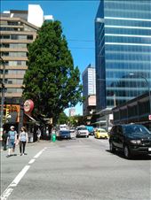 by louiss_renierr, Views[108]