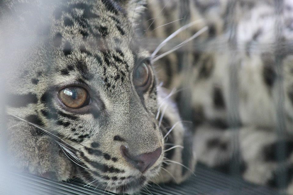 We all dream of faraway 