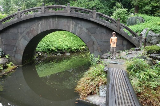 Moon bridge.   Together, the bridge and its reelection make a full moon.  
