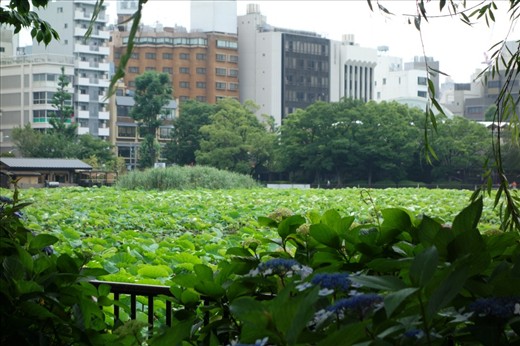 Ueno Park