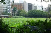 Ueno Park: by loveadventures, Views[198]
