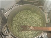 Ndole cooking in the pot!: by lovelycuisine, Views[643]