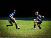 Pinellas County United Soccer Leauge kids : by lovelylenscraft, Views[186]