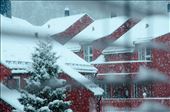 Snow, Norway : by ltcherry, Views[249]