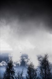 Winter, Norway : by ltcherry, Views[206]