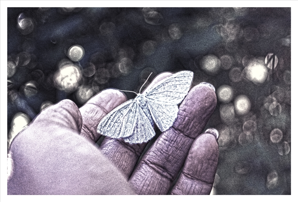 I will set you free, Summer Norway 