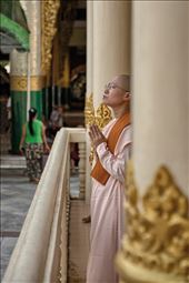 nun praying: by lucantonelli, Views[259]