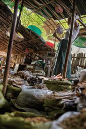City Market in Yangon: by lucantonelli, Views[310]