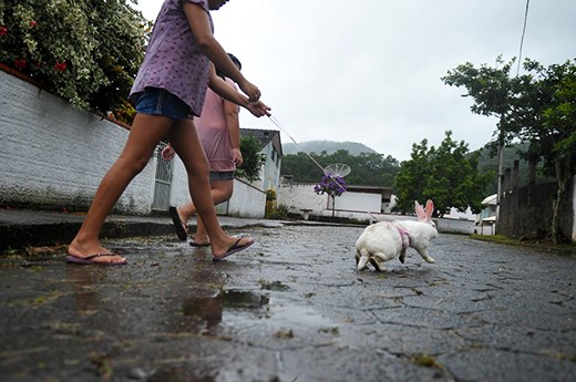 Scenes from a simple neighborhood in the city of Blumenau