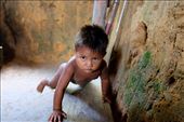Visiting an indigenous tribe in the city of Manaus.: by lucasamorelli, Views[421]