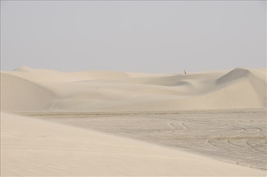 Out  for a morning walk