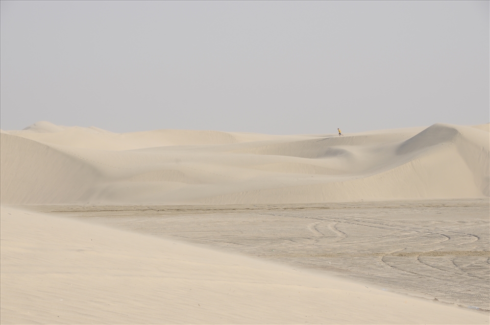 Out  for a morning walk