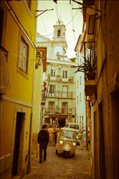 by luciec, Views[293]