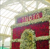 by lucitravels, Views[141]