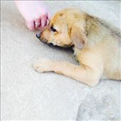 by lucitravels, Views[308]