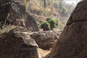 Women weave their way through rocks carrying baskets: by lucyflatman, Views[593]