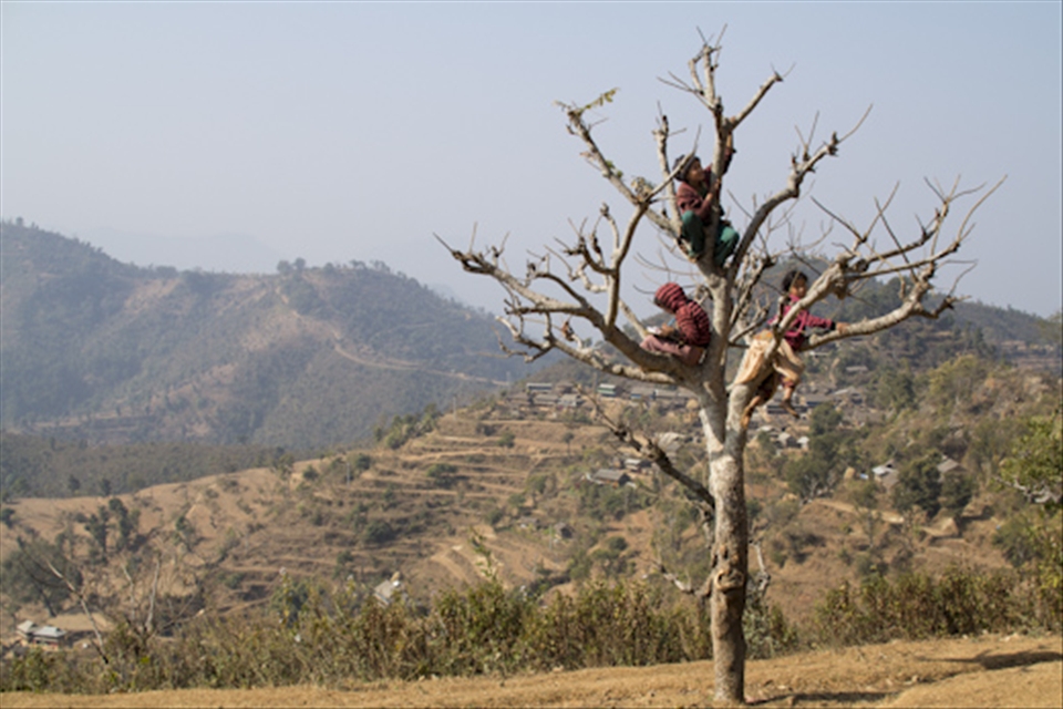 Girls play and study in a tree overlooking the village