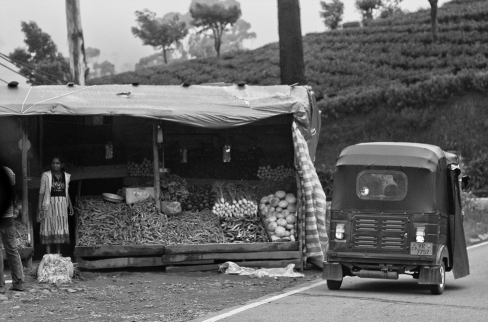 Road Side Fruit Stop