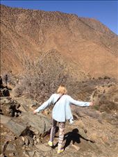 by lucyrrichards, Views[228]