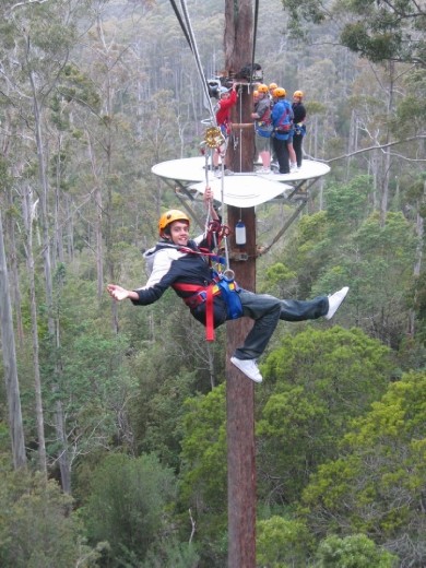 Flying Fox, Tasmania.