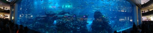 World's Largest Aquarium, Dubai.