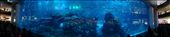 World's Largest Aquarium, Dubai.: by ludhercris, Views[166]