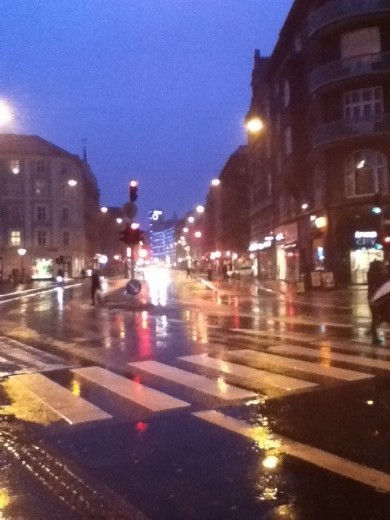 Copenhagen in the Rain.
