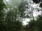 a tropical rain forest , it is located 2 km from Lake Toba.: by ludya, Views[490]