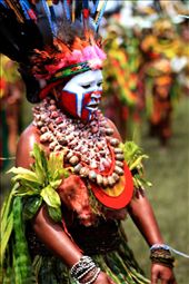 by luisvelasco, Views[146]