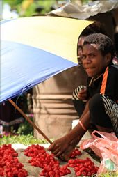 by luisvelasco, Views[176]