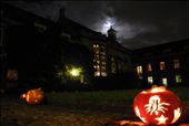 An academic year in Cambridge kicks off gently enough, for instance with a pumpkin-carving competition for Halloween..: by lukacova, Views[240]