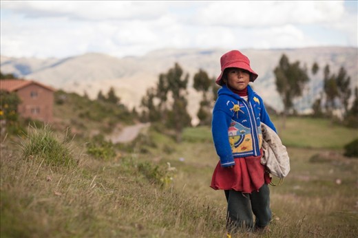 A young, local girl working alone seen rounding up sheep in the Andean Mountains of Cusco, Peru.  Children here are often thrown into the workforce at a young age to help support family life.