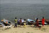 Children and dogs spend the afternoon walking by the Ganges: by lukewalks, Views[257]