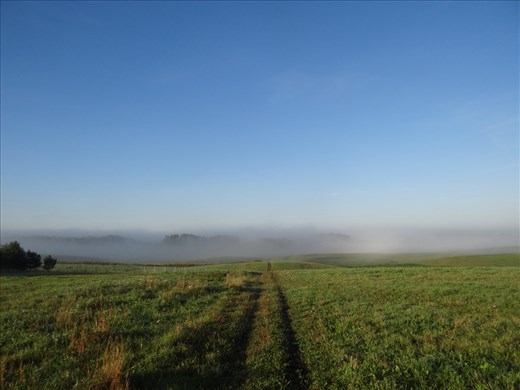 The fields and tranquility. To wake up early to walk my dogs is one of the most special and magical time of the day. The world is still sleepy, waking up little by little.