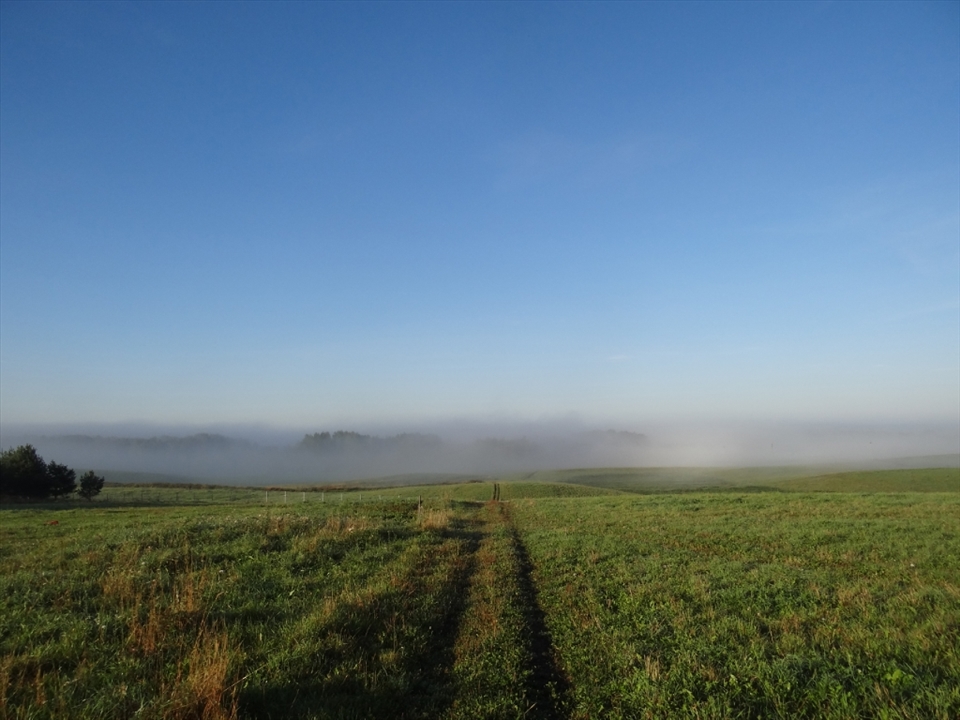 The fields and tranquility. To wake up early to walk my dogs is one of the most special and magical time of the day. The world is still sleepy, waking up little by little.