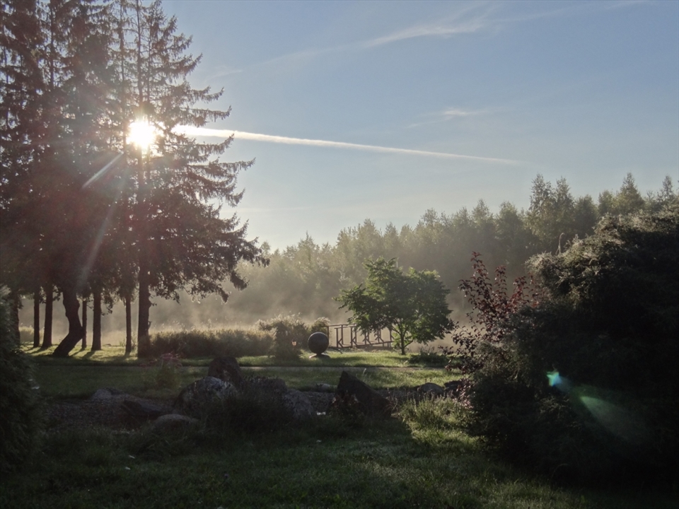 Beauty and calmness of misty morning. Simplicity is genius. 
