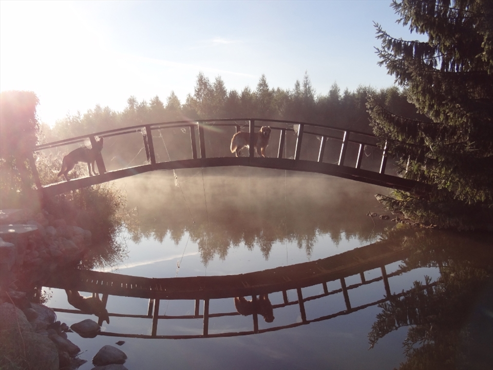 Breathe in. Breathe out. Observe the surroundings and notice the beauty of simplicity.