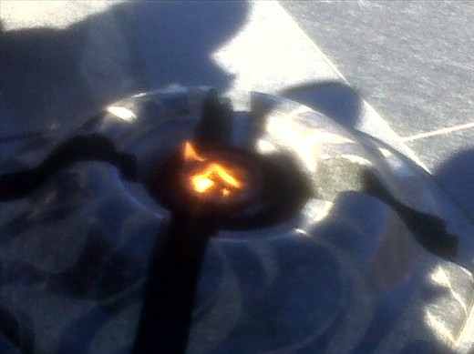 seal colony in Ludertiz Namibia