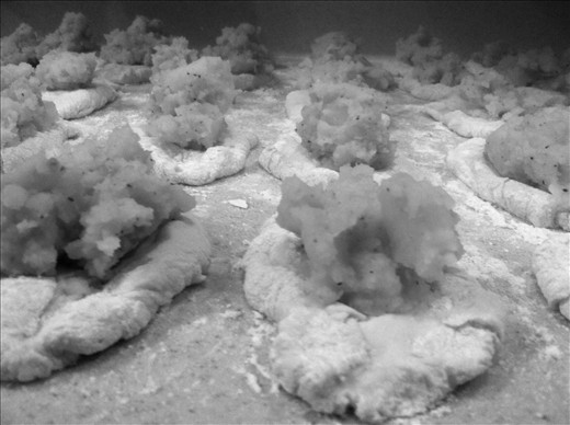 Placing the mashed potato on top of the dough pieces 