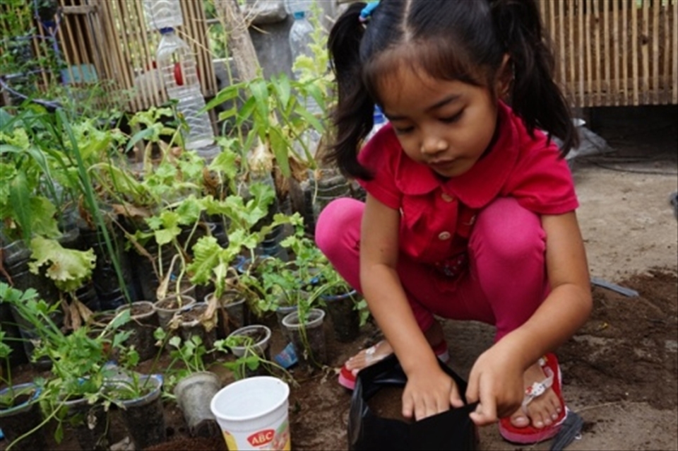 We read books about where the foods come from and accompany them grow that