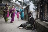 Nikhil's story is full of drama. After the loss of his parents, at the age of 9 he found himself on the street without a roof over his head. The only chance to survive was to become a beggar. Many years he knocked about the country, got leprosy, and returned to Himachal Pradesh in some time. 'I would like to change my life but now who will employ a cripple?' : by luvishthexplorer, Views[396]