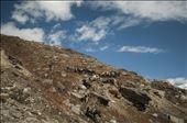 Welcome to the land of mountains: Himachal Pradesh. Here is the place where the beauty of nature and ugliness of people’s poverty coexist. If ten years ago men used horses as pack animals only, now enterprising locals try to make them one of the main attractions, organising horse riding tours. The horse-herd leads horses to another village where they start to entertain tourists.: by luvishthexplorer, Views[559]
